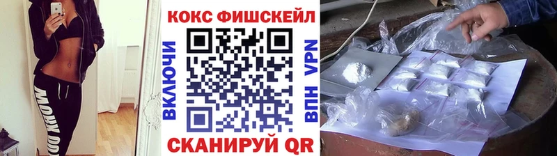 Купить закладки  Козьмодемьянск  COCAIN Fish Scale 